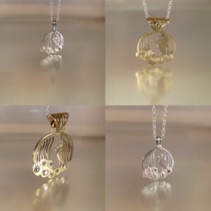 Hippocampe dans les algues