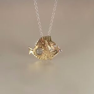 Poisson chirurgien I
